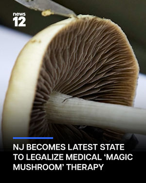 Image post by @news12nj on Instagram