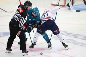 Image post by @belfastgiants on Instagram