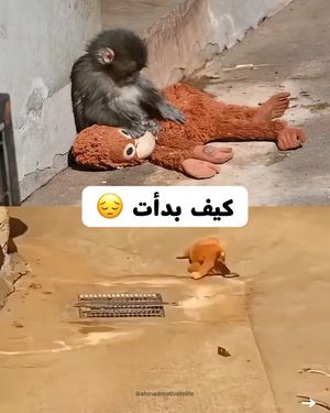 Image post by @ahmadmotivatelife on Instagram