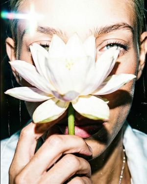 Image post by @meowpht on Instagram