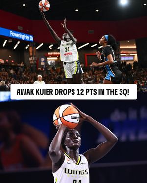 Image post by @wnba on Instagram