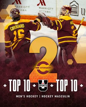 Image post by @the_stingers on Instagram