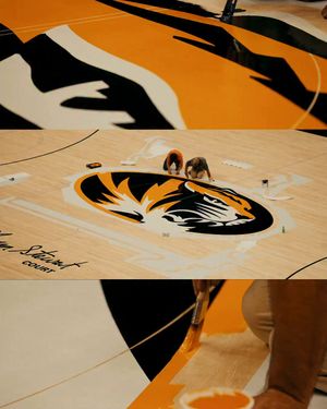 Image post by @mizzouathletics on Instagram