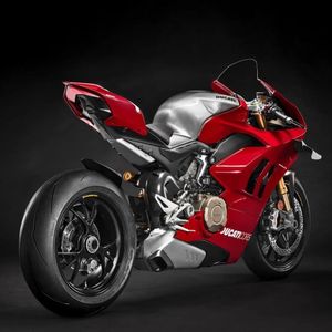 Image post by @panigalers on Instagram