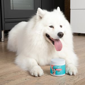 Image post by @solidgoldpets on Instagram