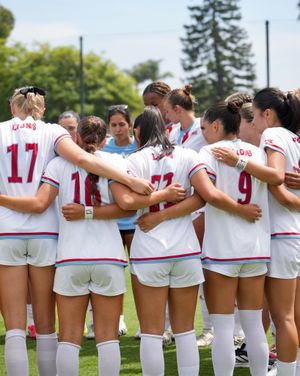 Image post by @lmulionswsoc on Instagram