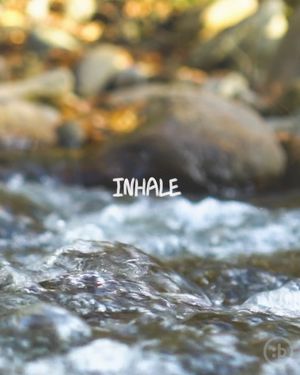 Video post by @betr on Instagram