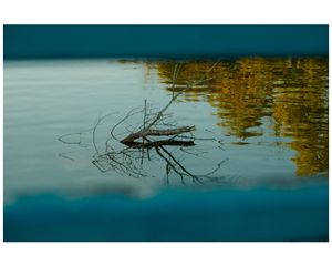 Image post by @jeffdicksonphotography on Instagram