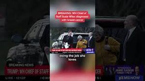 Video post by @msnbc on YouTube