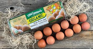 Image post by @stewleonards on Instagram