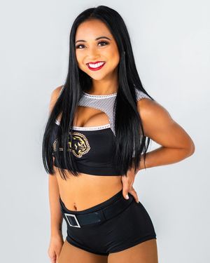 Image post by @panthersdanceteam on Instagram