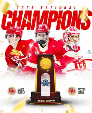 Image post by @fightingsaints on Instagram