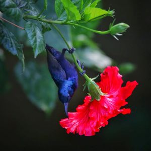 Image post by @dhritimanlahiri on Instagram