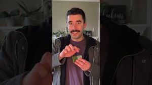Video post by @stimara_co on YouTube