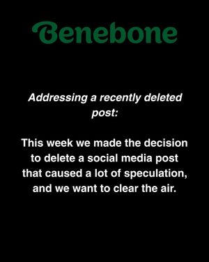 Image post by @mybenebone on Instagram