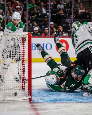 Image post by @minnesotawild on Instagram
