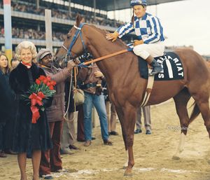 Image post by @thoroughbred_daily_news on Instagram