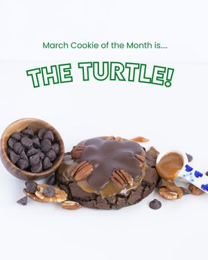 Image post by @susscookieco on Instagram