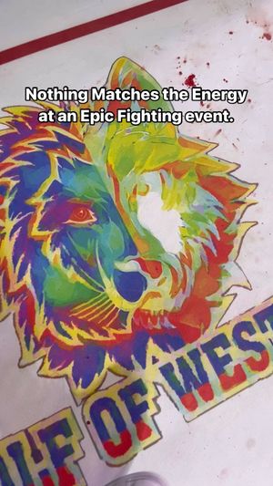 Video post by @epicfighting on Instagram