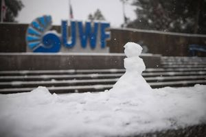 Image post by @uwf on Instagram