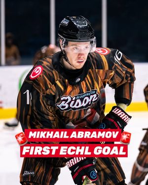 Image post by @bisonhockeyechl on Instagram