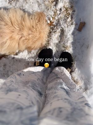 Image post by @thisseasonsgold on Instagram