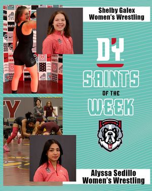 Image post by @dyouvillesaints on Instagram