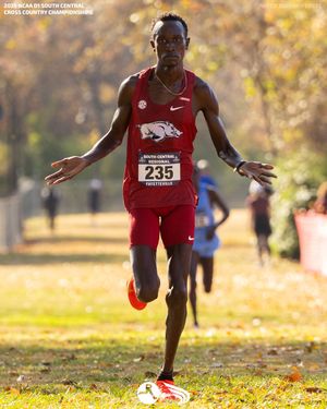 Image post by @DyeStat on Twitter