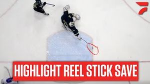 Video post by @flohockey on YouTube