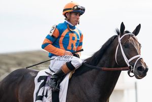 Image post by @fanduel_racing on Instagram