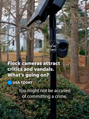 Video post by @usatoday on TikTok