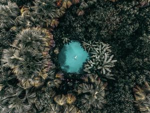 Image post by @omatheusgarcia on Instagram