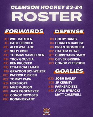 Image post by @clemsonicehockey on Instagram