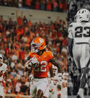 Image post by @cutigervision on Instagram