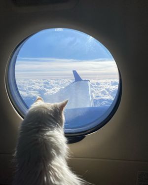 Image post by @wheelsup on Instagram