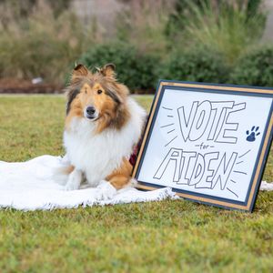 Image post by @missrevx on Instagram