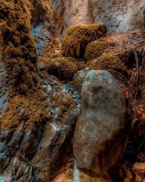 Image post by @cristan.nature.photography on Instagram