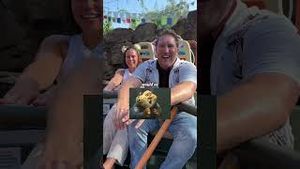 Video post by @disneyparks on YouTube
