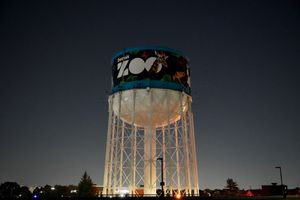Image post by @detroitzoo on Instagram