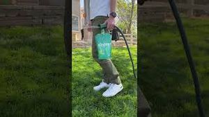 Video post by @getsunday on YouTube