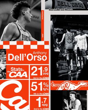 Image post by @gocamelsmbb on Instagram