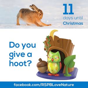 Image post by @rspb on Instagram