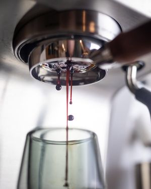 Image post by @casabrews_usa on Instagram