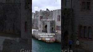 Video post by @s4c on YouTube