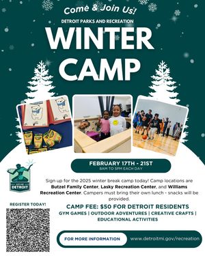 Image post by @detroitparksrec on Instagram