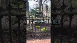 Video post by @bostonwithemily on YouTube