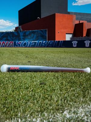 Image post by @arizonasoftball on Instagram