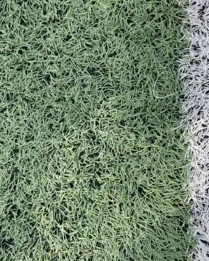 Image post by @grant_page23 on Instagram