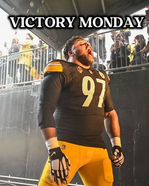 Image post by @steelersireland on Instagram