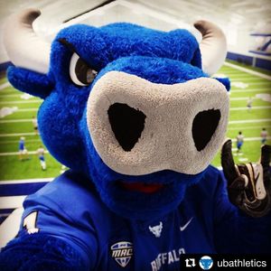 Image post by @universityatbuffalo on Instagram